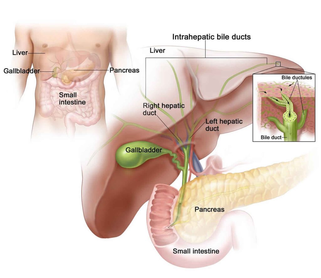 Best Hospitals For Bariatric Surgery In Mumbai